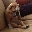 สมาชิกหมายเลข 900299