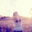 สมาชิกหมายเลข 1214029