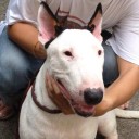 สมาชิกหมายเลข 1465946