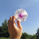 สมาชิกหมายเลข 2327693