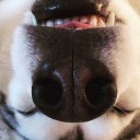 สมาชิกหมายเลข 946224