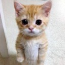 สมาชิกหมายเลข 1091621