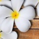 สมาชิกหมายเลข 1932068