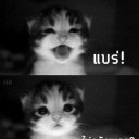 สมาชิกหมายเลข 1028336