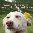 chill amigo all is well