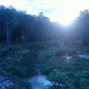 ปอเปี๊ยะสด