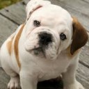 สมาชิกหมายเลข 1302484