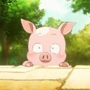 สมาชิกหมายเลข 1501198