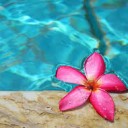 สมาชิกหมายเลข 1296121