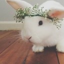 สมาชิกหมายเลข 1760111