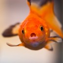 สมาชิกหมายเลข 924628