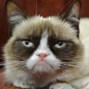 สมาชิกหมายเลข 1092161