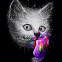 สมาชิกหมายเลข 1501718