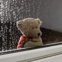 สมาชิกหมายเลข 1501998