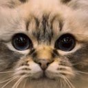 สมาชิกหมายเลข 2721987