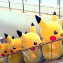 สมาชิกหมายเลข 1933015