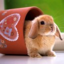 สมาชิกหมายเลข 1026840