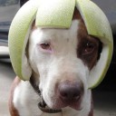 สมาชิกหมายเลข 944834