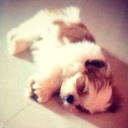 สมาชิกหมายเลข 1484650