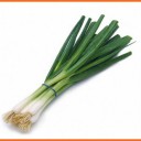 สมาชิกหมายเลข 1502578