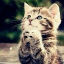 สมาชิกหมายเลข 2329107