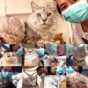 สมาชิกหมายเลข 2784559