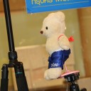 สมาชิกหมายเลข 3072851