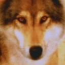 วรัณทร์ธร