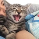 ทำให้พยาธิเป็นสายรุ้ง