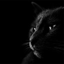 สมาชิกหมายเลข 2322410