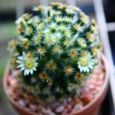 สมาชิกหมายเลข 2330259