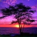 สมาชิกหมายเลข 2723495