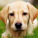 สมาชิกหมายเลข 3144045