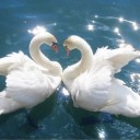 สาวน้อยร้อยล้านยูโร