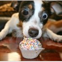 สมาชิกหมายเลข 2970882