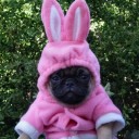 สมาชิกหมายเลข 1060468