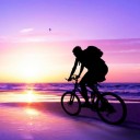 สมาชิกหมายเลข 2658219