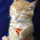 สมาชิกหมายเลข 1027571