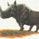 สมาชิกหมายเลข 1930356