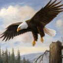 สมาชิกหมายเลข 2331448