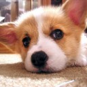 สมาชิกหมายเลข 2522660