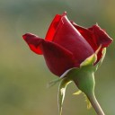 พ่อน้องดินสอ