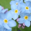 ข้ามขอบฟ้า