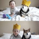 สมาชิกหมายเลข 2331814