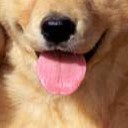 สมาชิกหมายเลข 1419306