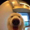 สมาชิกหมายเลข 2798015