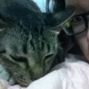 เยลลี่ปีโป้ปั่น