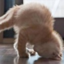 สมาชิกหมายเลข 1088907