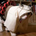 สมาชิกหมายเลข 1095804