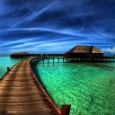 สมาชิกหมายเลข 998101